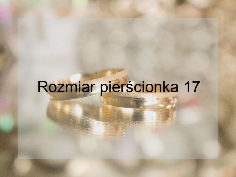 Rozmiar pierścionka 17